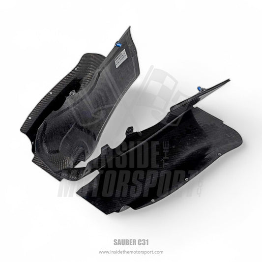 Carbon Gearbox Cover - Sauber C31 - 2012 - F1